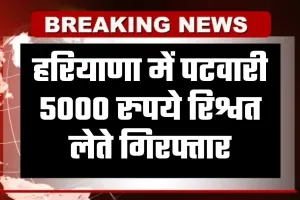 Haryana: हरियाणा में पटवारी 5000 रुपये रिश्वत लेते गिरफ्तार, विजिलेंस विभाग ने की कार्रवाई 