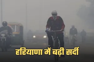 Haryana Weather: हरियाणा में बढ़ी सर्दी, 11 जिलों में शीतलहर का अलर्ट जारी