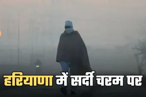 Haryana Weather: हरियाणा में सर्दी चरम पर, तापमान सामान्य से 3.4°C नीचे