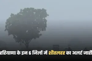Haryana Weather: हरियाणा के इन 6 जिलों में शीतलहर का अलर्ट जारी, जानें आज कैसा रहेगा मौसम 