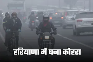 Haryana Weather: हरियाणा में घना कोहरा, इन जिलों में शीतलहर की चेतावनी