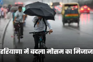 Haryana Weather: हरियाणा में बदला मौसम का मिजाज, घना कोहरा और बारिश बढ़ाएगी ठंड