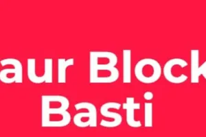 फर्जी मेड़बंदी के नाम पर सरकारी धन का गबन, ग्राम प्रधान की शक्तियां सीज..