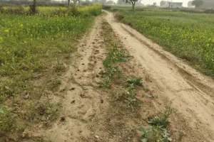 भूमाफियाओं ने पटपर जलप्रपात मार्ग किया बंद, मारपीट करने के बाद भी पुलिस-प्रशासन मौन!