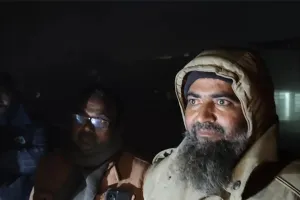 सीतापुर में लकड़ी माफिया और वन विभाग की मिलीभगत का पर्दाफाश