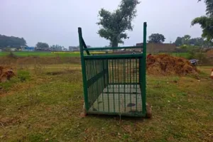 ड्रोन से 24 घंटे निगरानी, लगा पिंजरा, बढ़ाई गई गश्त 