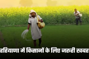 Haryana: हरियाणा में किसानों के लिए जरूरी खबर, 31 दिसंबर तक करवाएं फसलों का पंजीकरण 