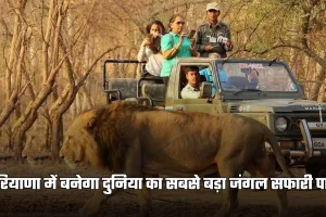 Haryana: हरियाणा में बनेगा दुनिया का सबसे बड़ा जंगल सफारी पार्क, 10 हजार एकड़ में तैयार होगा मेगा प्रोजेक्ट