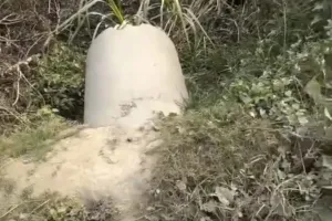 दो दिन पूर्व हुई घटना में लोगों पर डकैती का मुकदमा दर्ज।