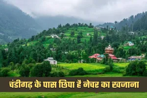 Best Tourist Place: चंडीगढ़ के पास छिपा है नेचर का खजाना, वीकेंड पर मोरनी हिल्स पहुंच रहे सैलानी