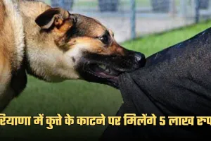Haryana: हरियाणा में कुत्ते के काटने पर मिलेंगे 5 लाख रुपये, सरकार ने तय किए नए नियम