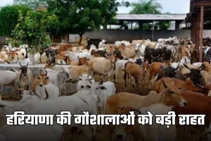 Haryana: हरियाणा की गौशालाओं को बड़ी राहत, अब 2 रुपये प्रति यूनिट मिलेगी बिजली