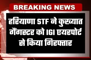 Haryana: हरियाणा STF की बड़ी कार्रवाई, कुख्यात गैंगस्टर को IGI एयरपोर्ट से किया गिरफ्तार