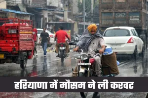 Haryana Weather: हरियाणा में मौसम ने ली करवट, 18 जिलों में बारिश-ओलावृष्टि का अलर्ट