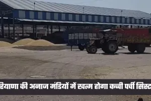 Haryana: हरियाणा की अनाज मंडियों में खत्म होगा कच्ची पर्ची सिस्टम, हाईकोर्ट ने दिए ये आदेश