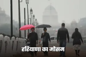 Haryana Weather: हरियाणा में ठंड बरकरार, बारिश का अलर्ट हुआ जारी
