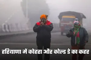 Haryana Weather: हरियाणा में कोहरा और कोल्ड डे का कहर, 12 जिलों में ऑरेंज अलर्ट