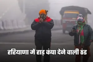 Haryana Weather: हरियाणा में हाड़ कंपा देने वाली ठंड, शीतलहर का अलर्ट जारी 