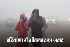Haryana Weather: हरियाणा में शीतलहर का अलर्ट, सरकार ने जारी की बचाव एडवाइजरी