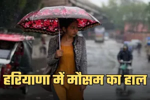 Haryana Weather: हरियाणा में अगले 7 दिनों में कैसा रहेगा मौसम? देखें पूर्वानुमान 