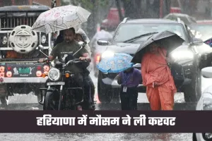 Haryana Weather: हरियाणा में मौसम ने ली करवट, कई जिलों में बारिश