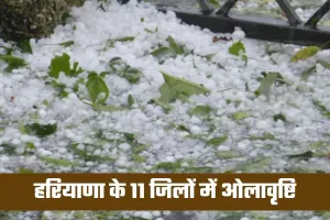 Haryana Weather: हरियाणा में नए पश्चिमी विक्षोभ से मौसम का कहर, 11 जिलों में ओलावृष्टि