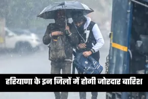 Haryana Weather: हरियाणा के इन जिलों में होगी जोरदार बारिश, अलर्ट हुआ जारी 