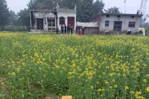 छितौनी–तमकुही रोड रेल लाइन सीमांकन कर लगाए गए सेंटर पिलर