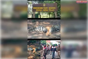 वन विभाग की दोहरे मापदण्ड से उपजते सवाल 