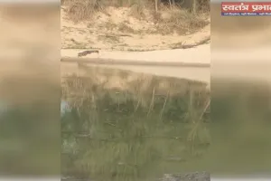 कैलाश नदी में दो मगरमच्छ दिखने से दहशत