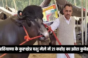 Haryana: हरियाणा के कुरुक्षेत्र पशु मेले में 21 करोड़ का झोटा कुबेर, देखने उमड़ी भीड़