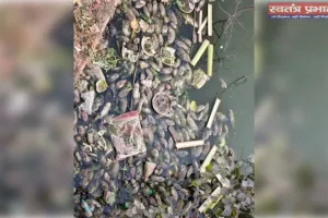 कलवारी शिव मंदिर स्थित पोखरे में दूषित जल से मर रही मछलियों- सड़ान्ध से बीमारी फैलने का खतरा