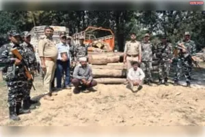 बलरामपुर के सोहेलवा से काटी गई शीशम और सागौन की 24 बोटा लकड़ी बरामद, दो गिरफ्तार