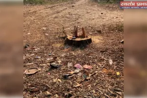 सूचना के बाद भी नहीं बच सका प्रतिबंधित गूलर का पेड़, कटरा वन रेंज में वन माफियाओं का आतंक