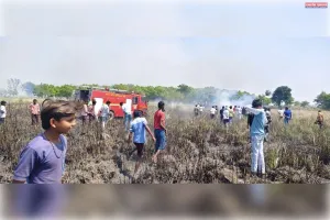 अज्ञात कारणों से पशुचर पर लगी आग