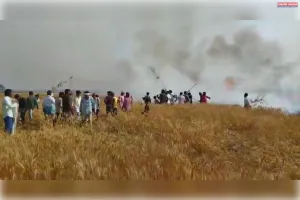 आग लगने से गेहूं की  30 बीघा फसल जलकर राख