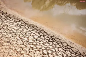 तपता मार्च, सूखता पानी: क्या हम असली समस्या से भाग रहे हैं?