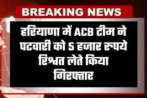 Haryana: हरियाणा में ACB टीम की बड़ी कार्रवाई, पटवारी 5 हजार रुपये रिश्वत लेते गिरफ्तार