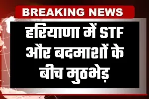 Haryana: हरियाणा में STF और बदमाशों के बीच मुठभेड़, दोनों बदमाशों के पैर में लगी गोली