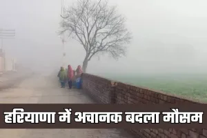 Haryana Weather: हरियाणा में अचानक बदला मौसम, कई इलाकों में घना कोहरा
