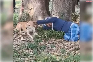 बेटी की मौत पर पिता के साथ रोता रहा पालतू कुत्ता, उस्मापुर में भावुक कर देने वाला दृश्य