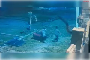 प्रयागराज में वकील के घर लाखों की चोरी, CCTV में कैद हुए चोर