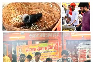 सेवा और स्वच्छता का संगम ओबरा में प्रोटीन खिचड़ी वितरण के बाद करणी सेना जिलाध्यक्ष ने खुद लगाया झाड़ू