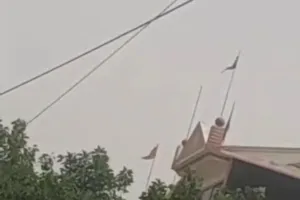 बिजली के तारों पर बिछा डिश-फाइबर का जाल, बड़े हादसों को  दे रहा है दावत