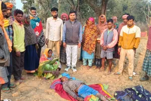 चंदवा के माल्हन पंचायत में जंगली हाथी का कहर