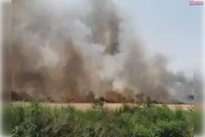 बलिया में भीषण आग का कहर: 100 एकड़ गेहूं राख, 200+ किसान प्रभावित; फायर ब्रिगेड की देरी पर आक्रोश