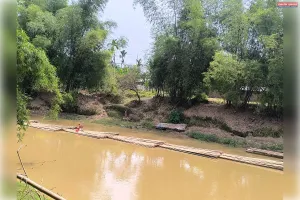 जिले के चेरागी रेंज से खुलेआम बांस तस्करी, वन विभाग मौन