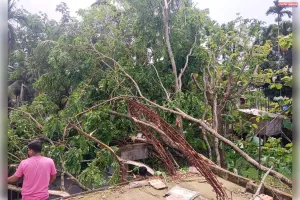 प्रलयंकारी कालबैशाखी तूफान से जिले के दुल्लभछड़ा में भारी नुकसान