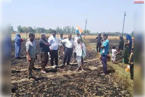 शार्टसर्किट से आगजनी में गेहूं की फसल राख