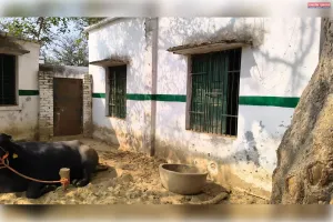 विद्यालय में अतिक्रमण को लेकर सीएम पोर्टल पर दर्ज करायी शिकायत